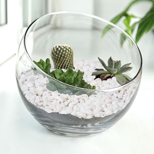 2.5 lbs White Aquarium Gravel (2.5 Pound)