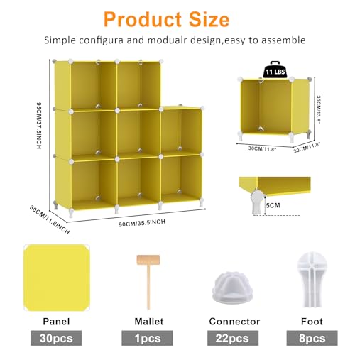 Cube Storage Organizer