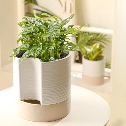 Ceramic Self Watering Plant Pot for Indoor Plants