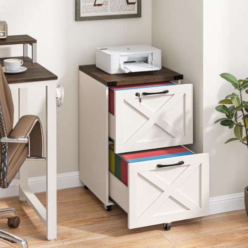 Farmhouse File Cabinet with Lock & 2 Drawers