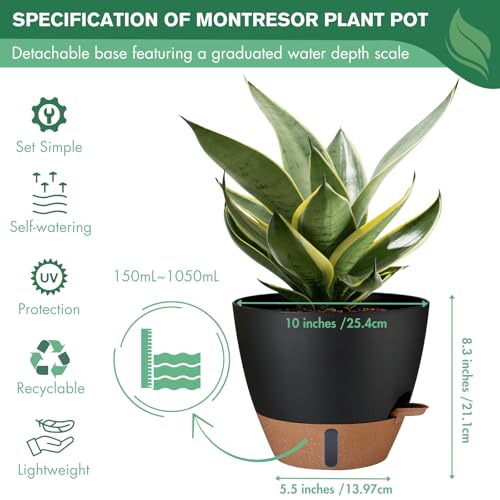 2 Pack 10 inch Plant Pots (2 Count)