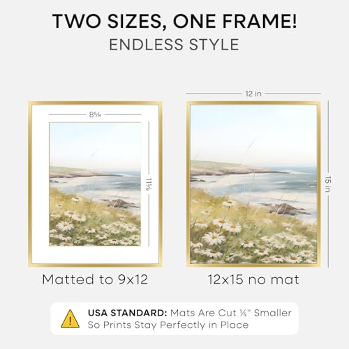 12x15 Gold Picture Frame