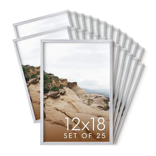 12x18 Silver Metal Picture Frames
