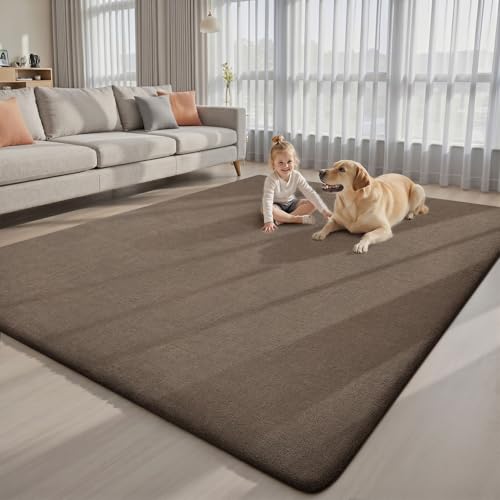 Area Rugs 9x12 for Living Room Bedroom (108 Sq Ft)