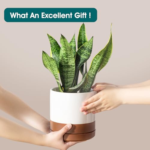 Ceramic Pots for Plants (3 Count)