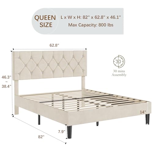 Queen Size Bed Frame with Diamond Tufted Headboard
