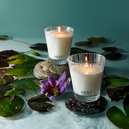 Scented Classic Candle (8.1 Ounce)
