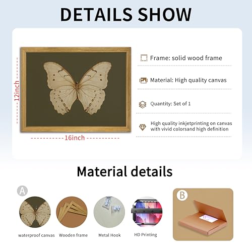 Wood Framed Butterfly Wall Art
