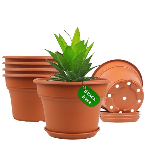 6 Inch Plastic (6 Count)
