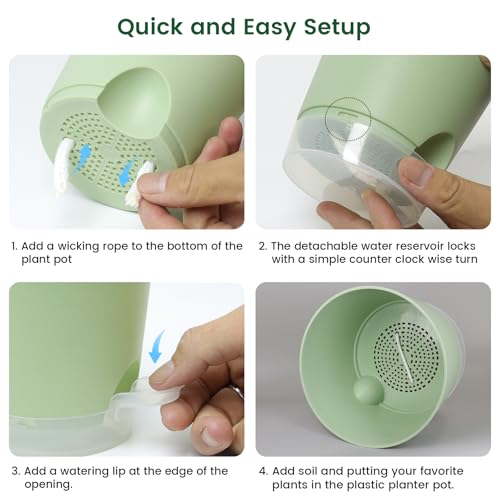 6 inch Self Watering Pots for Indoor Outdoor Plants (6 Count)
