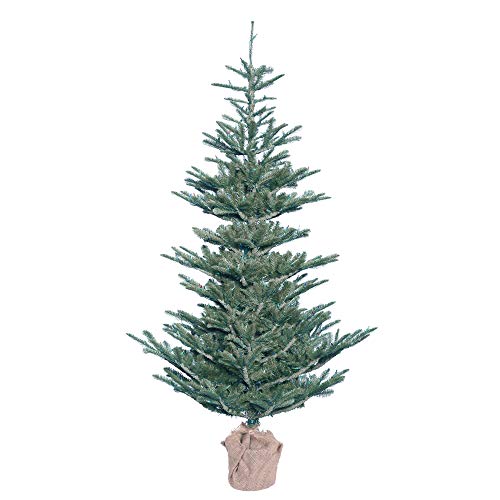 G160440 Alberta Blue Spruce Christmas Tree
