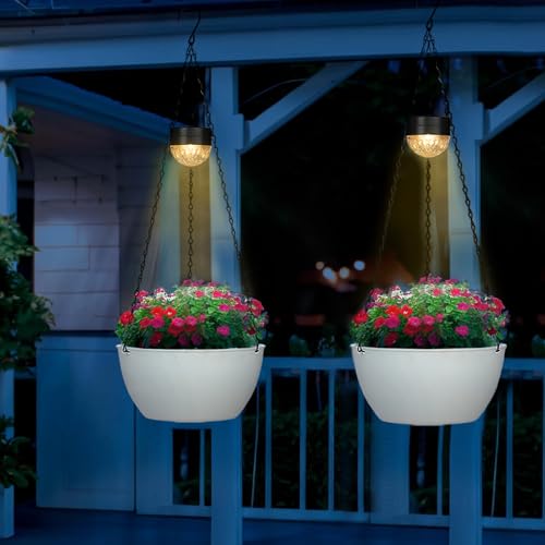 2 Pack Solar Hanging Planters for Plants Outdoor (2 Count)