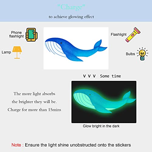 Sea Turtle Ocean Fish Wall Decals Glow in The Dark