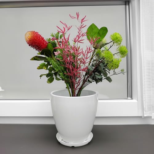 9.8" Diameter 11" Tall White Plant Pots