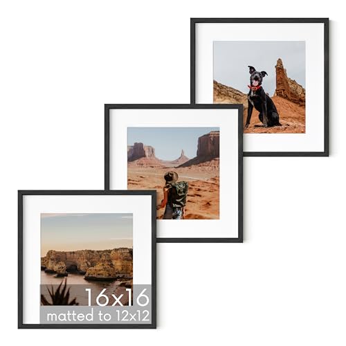Solid Oak Wood 16”x16” Picture Frames Matted to 12”x12” Set of 3 (3 Count)