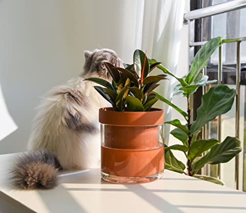6 Inch Self Watering Planter Pot
