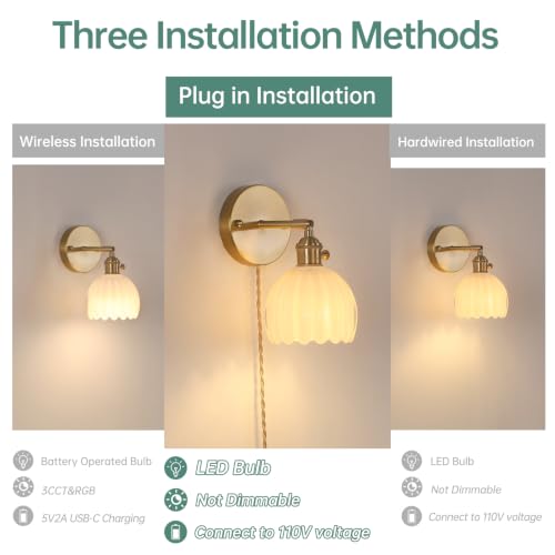 Plug in Wall Sconce