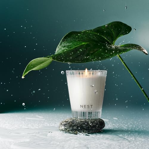 Scented Classic Candle (8.1 Ounce)
