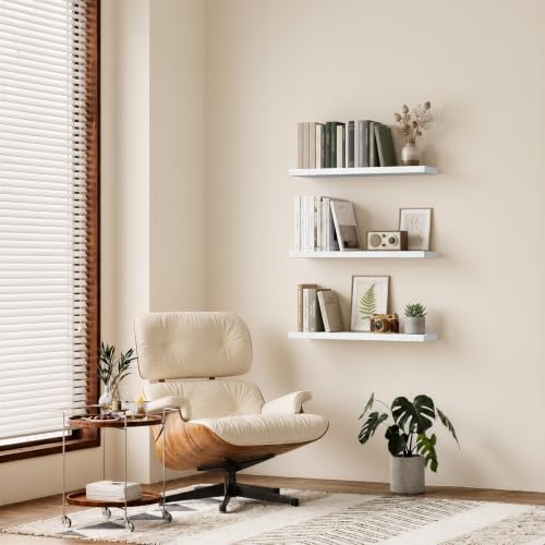 Floating Shelves for Wall