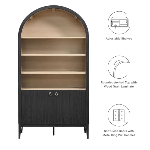 Nolan Tall Arched Storage Display Cabinet in Black