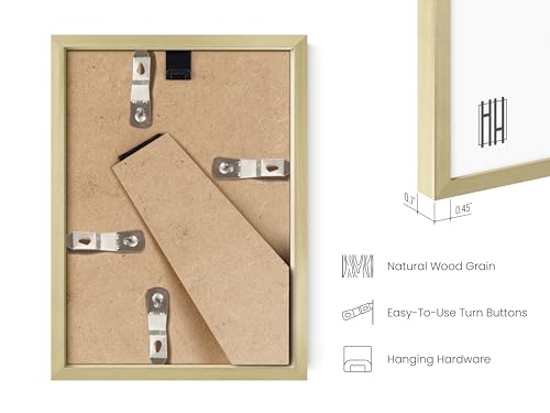 4x6 Gold Metal Picture Frames (6 Count)
