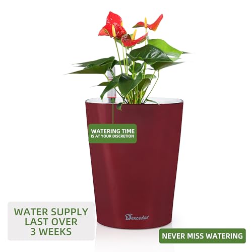 6x7 Self Watering Planter