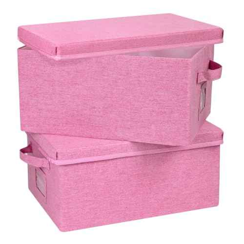 Storage Bins With Lids Closet Organizer Cabinet Box For Clothes (2 Count)