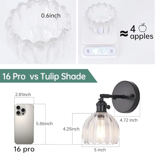 Vintage Battery Operated Wall Sconce with Transparent Tulip Glass Lampshade Rechargeable Battery Powered Black Wall Light with Remote Control for Bedside Bedroom Doorway