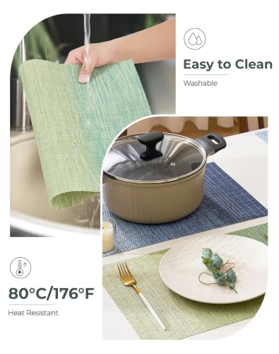 Gradient Green Woven Placemats Set of 12 (2.7 Count)