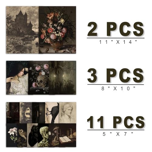 16 PCS Dark Academia Room Decor (16 Count)
