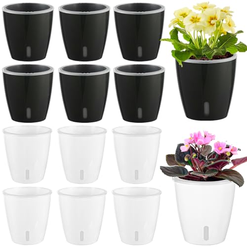 Self Watering Pots for Indoor Plants
