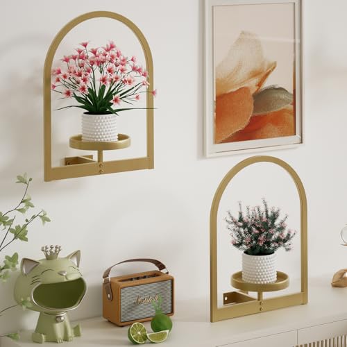 Wall Plant Holder (3 Count)