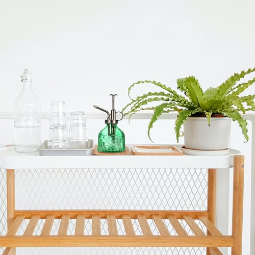 Glass Plant Mister Spray Bottle