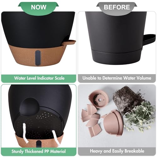 5-Pack Self-Watering Plastic Plant Pots 5/5.5/6/6.5/7 Inch– Black Indoor Flower Pots with Wick & Water Tray for Herbs, Succulents, Seedlings, Small Plants (5 Count)