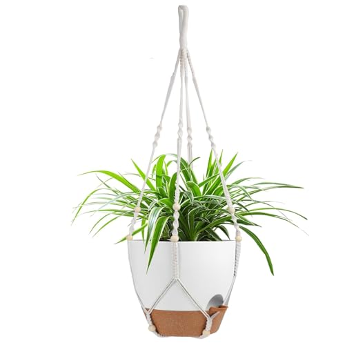 Hanging Planters for Indoor Outdoor Plants