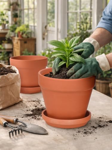 Terracotta Pots Set with Saucer (2 Count)