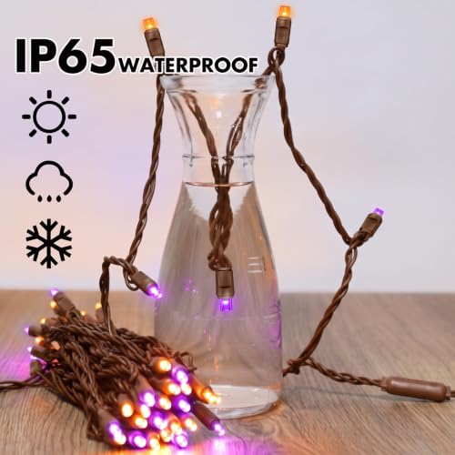 25FT Orange Purple Halloween String Lights (50 Count)