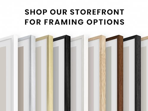 20x30 Silver Metal Picture Frames