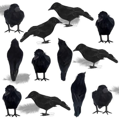 Halloween Birds (12 Count)