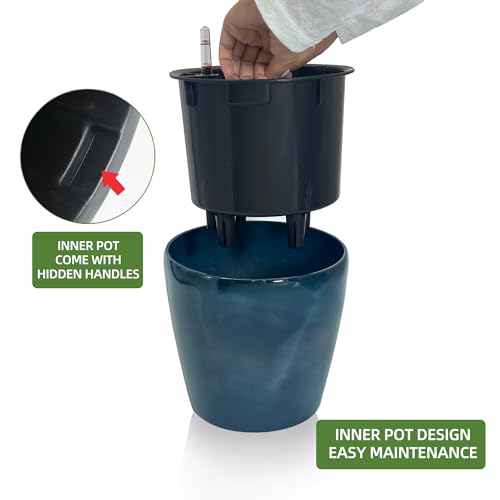 9x8 Self Watering Planter
