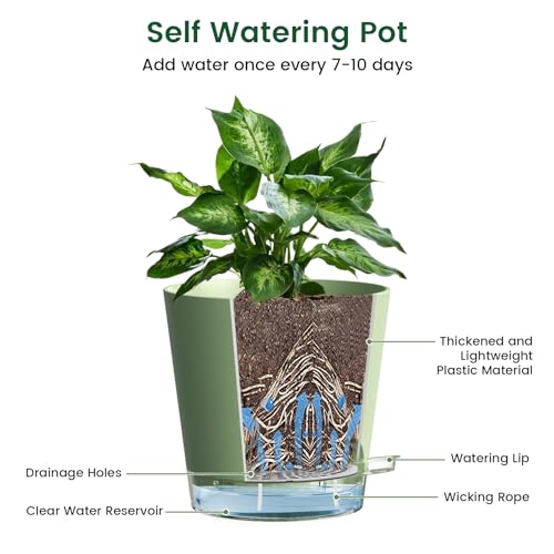 6 inch Self Watering Pots for Indoor Outdoor Plants (6 Count)