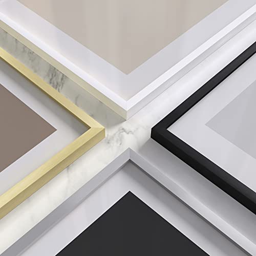 16x16 Silver Metal Picture Frames Matted to 12x12