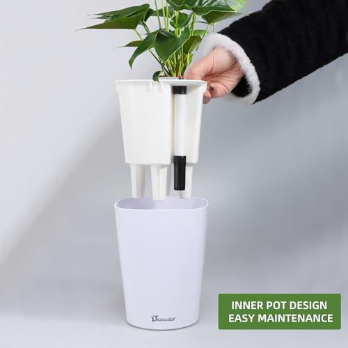 6x7 Self Watering Planter