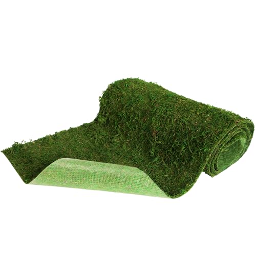 Moss Roll Dried Moss for Crafts