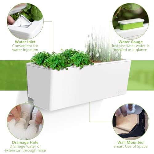 Self Watering Planter Box
