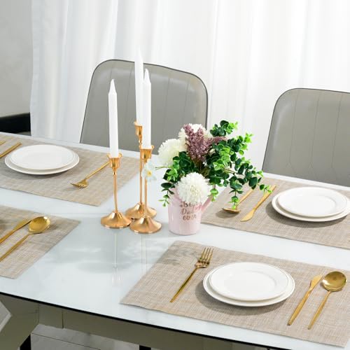 Placemats Set of 12 (12 Count)