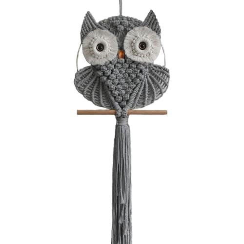 Owl Macrame Wall Hanging