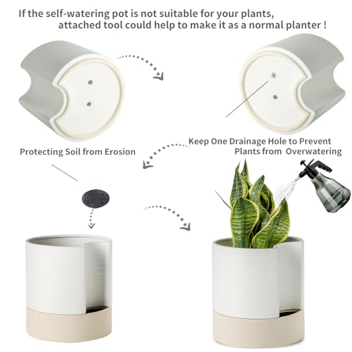 Ceramic Self Watering Plant Pot for Indoor Plants