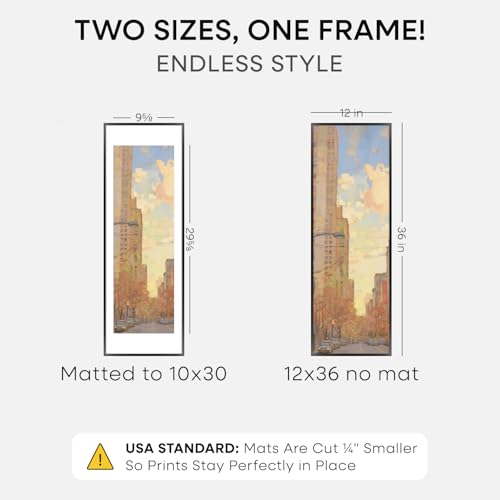 12x36 Black Picture Frame