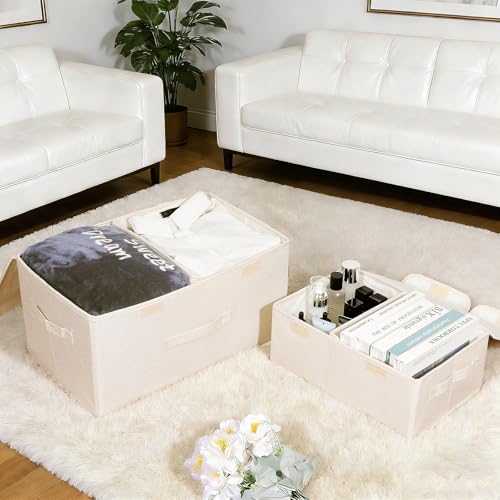 2 Pack Large Storage Boxes with Lids and Handles (2 Count)